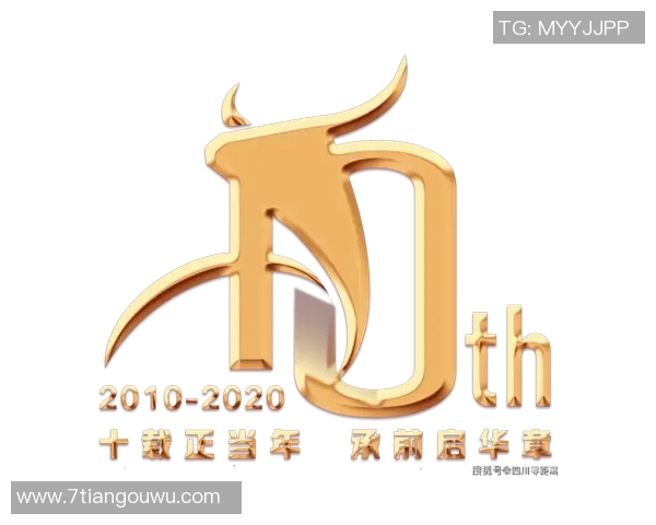 南京排球队的拼搏历程与荣耀时刻全景回顾